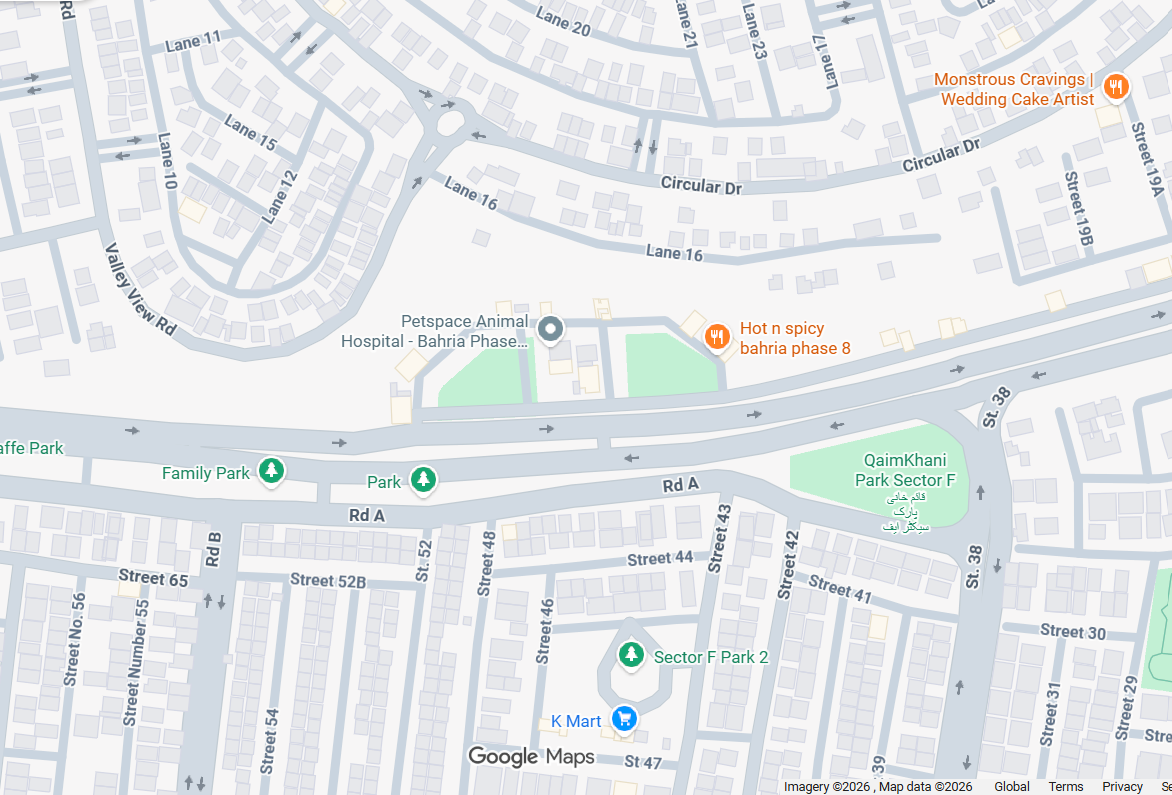 Google Maps location